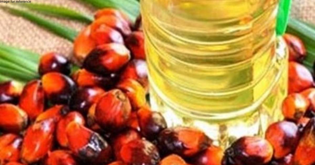 India's edible oil imports rose 22 pc in December 2022